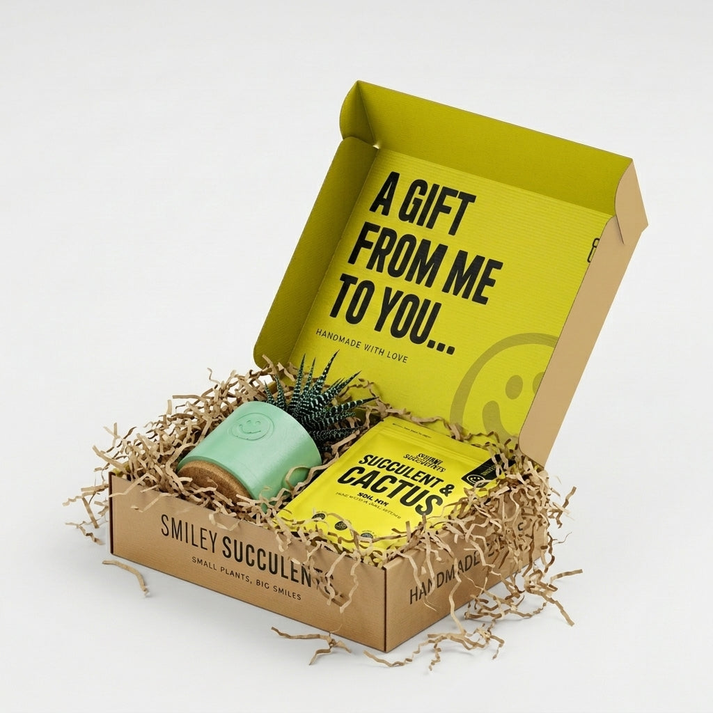 Succulent Gift Set