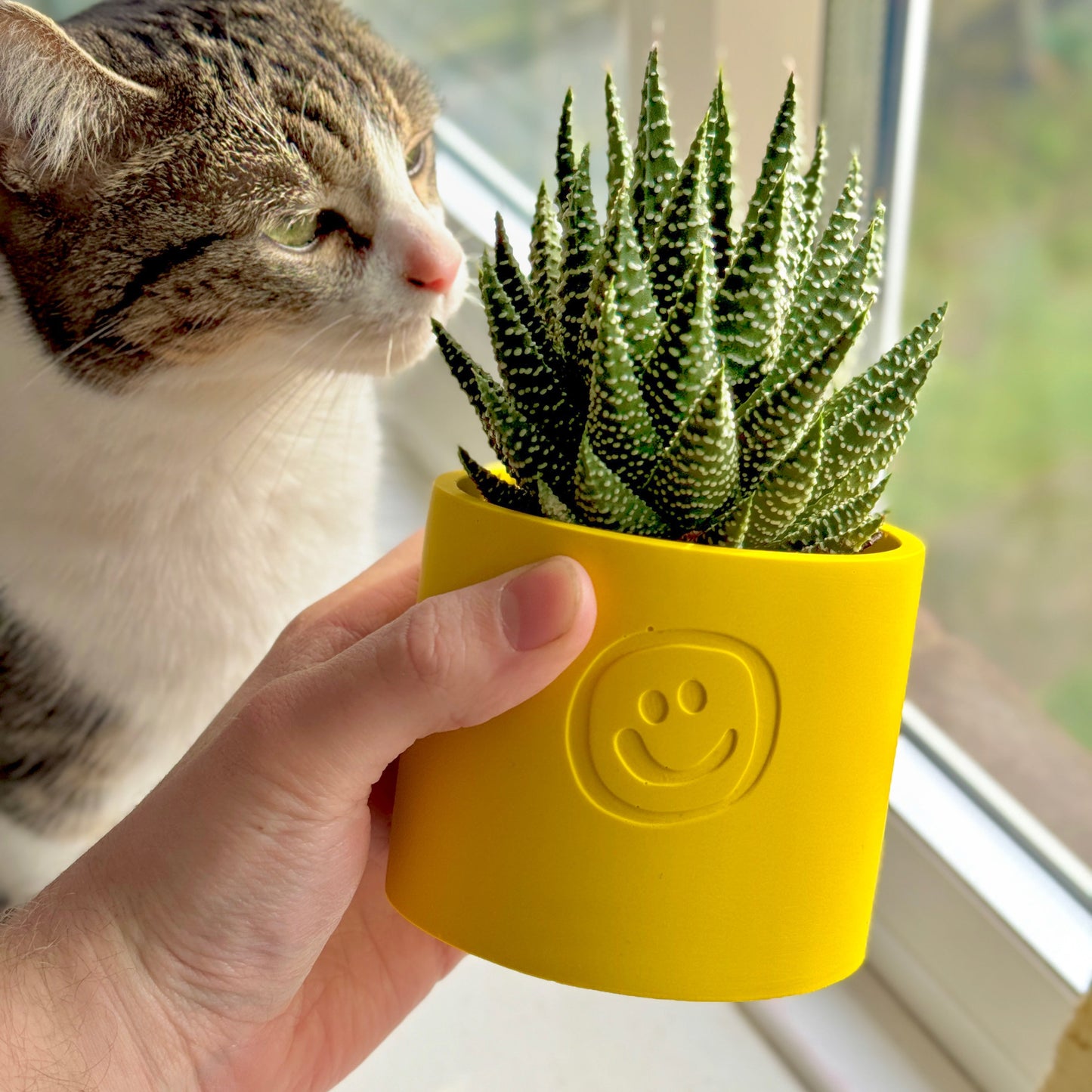 Smiley Pot