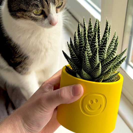 Desk Trio Pot Set