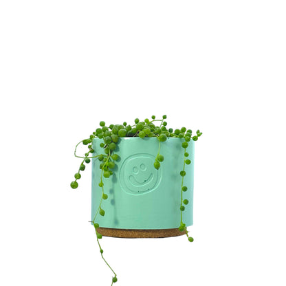 String Of Pearls