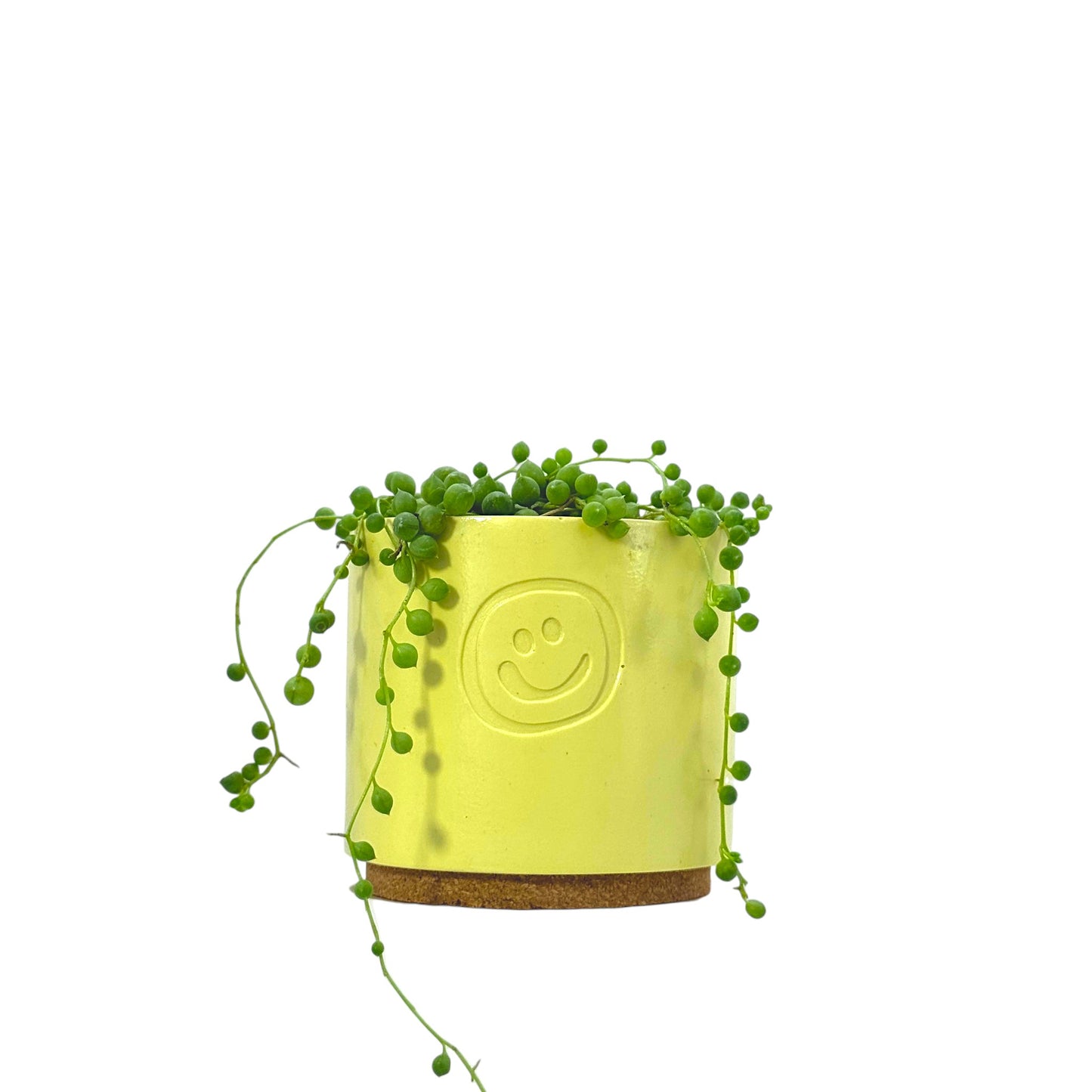 String Of Pearls
