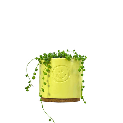 String Of Pearls