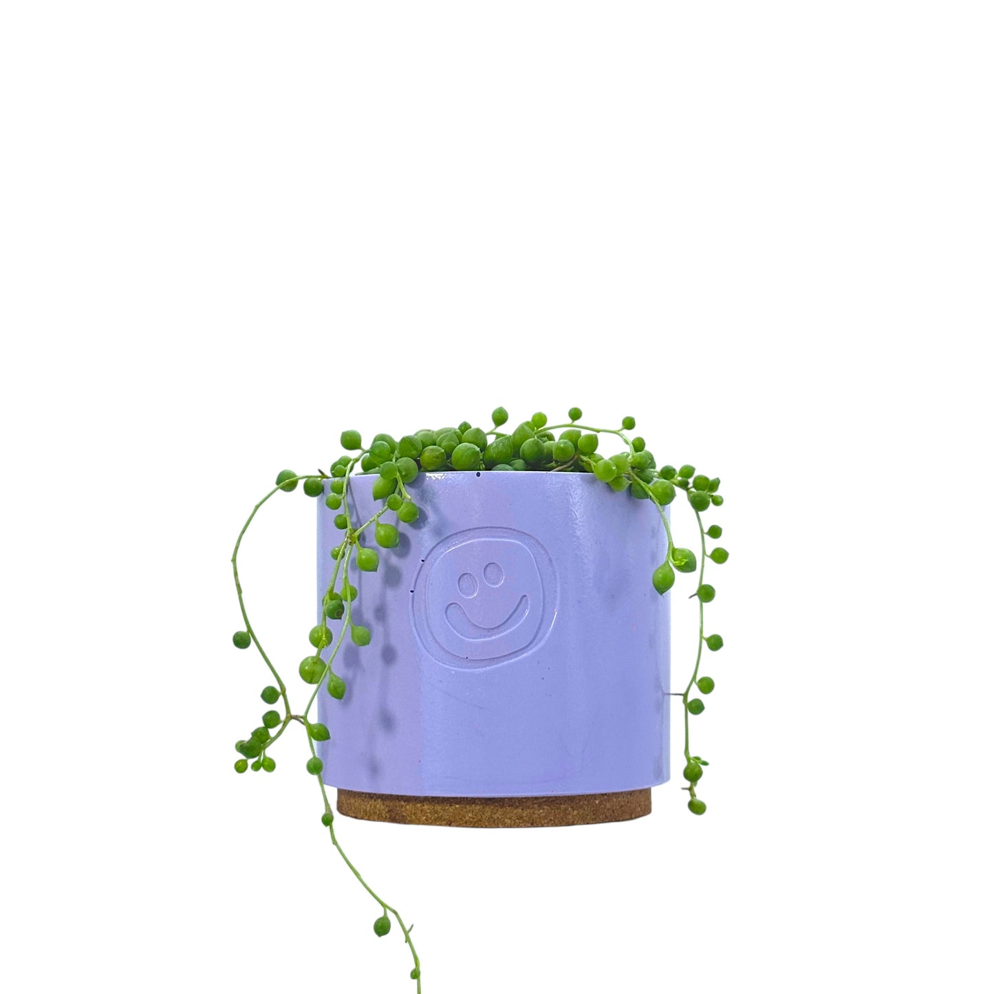 String Of Pearls