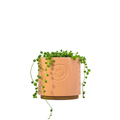 String Of Pearls