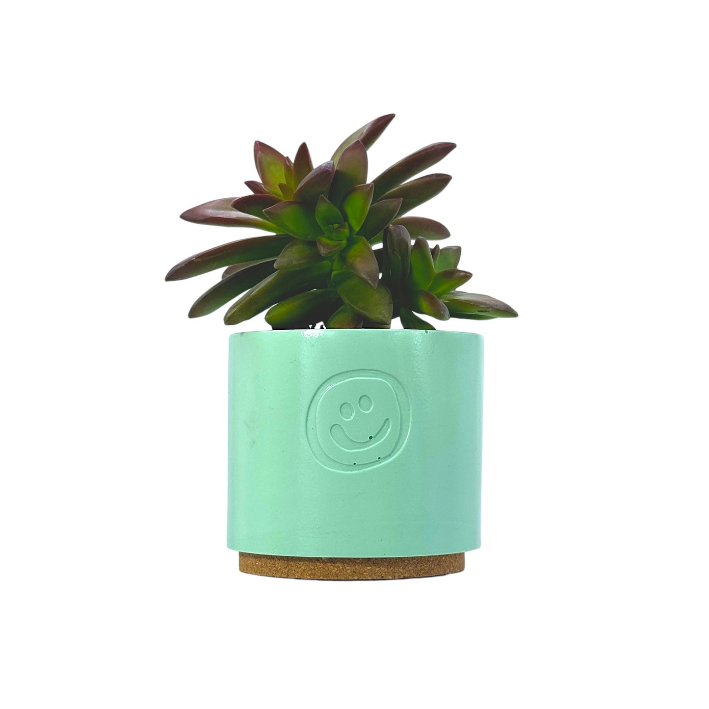 Coppertone Stonecrop